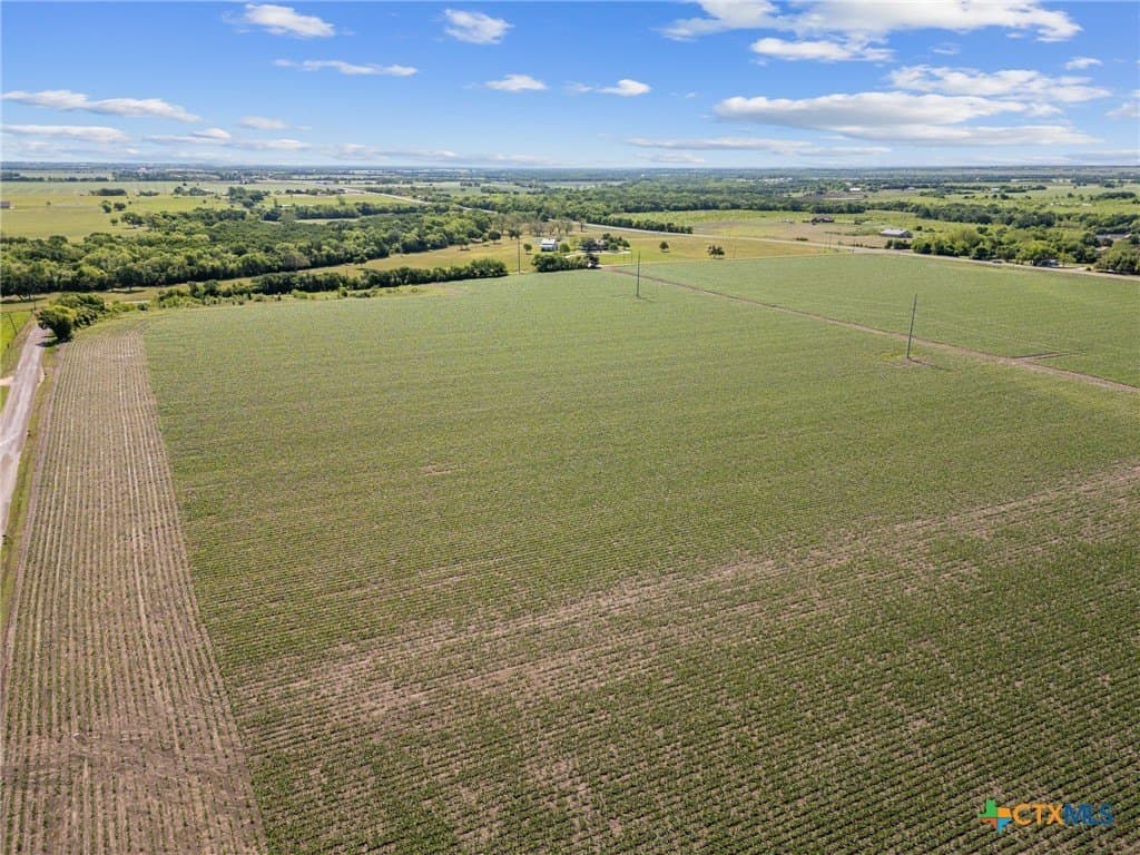 7.5 acres in Bell County gallery image 3