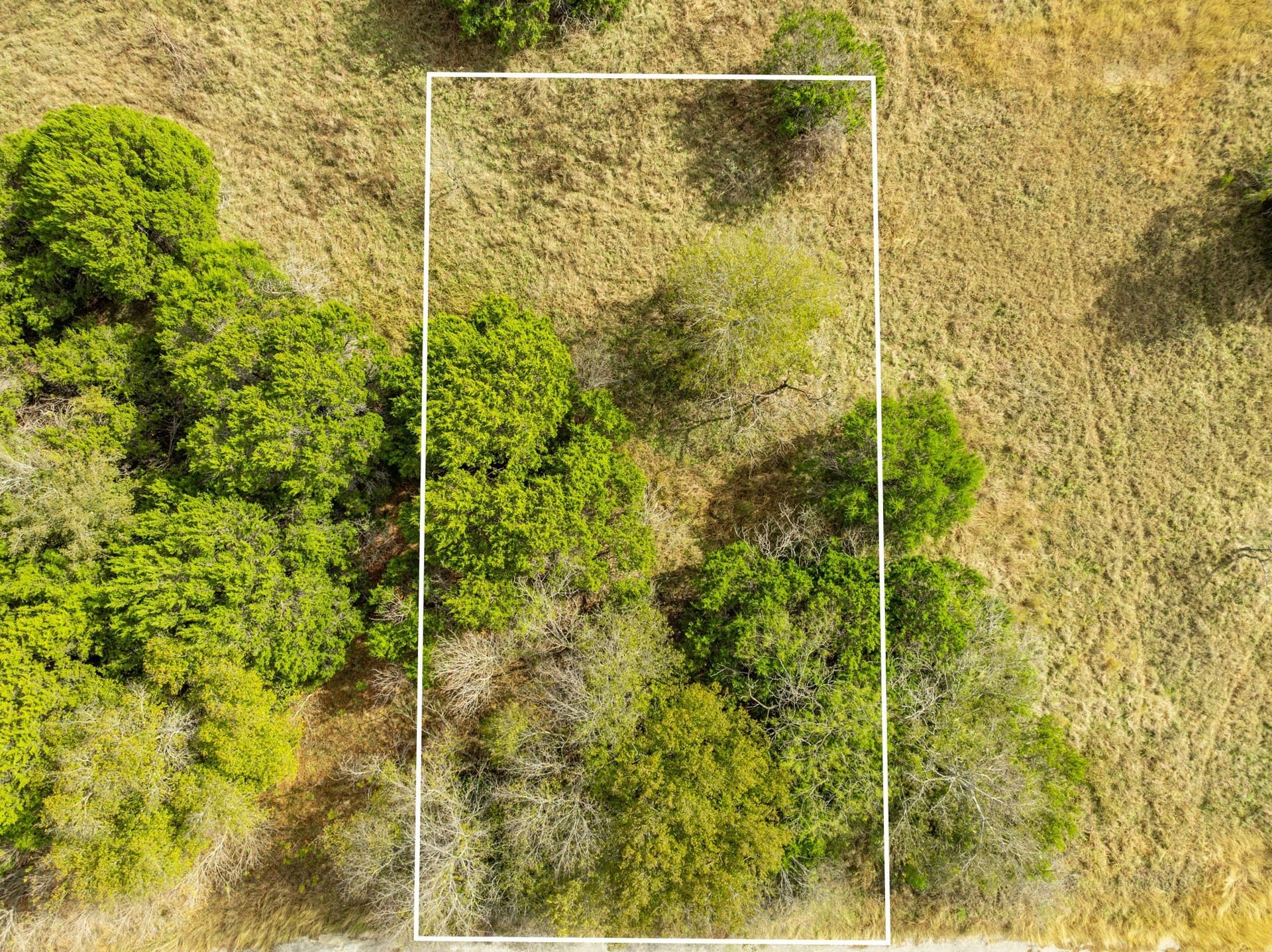 0.26 acres in Hill County - photo 9