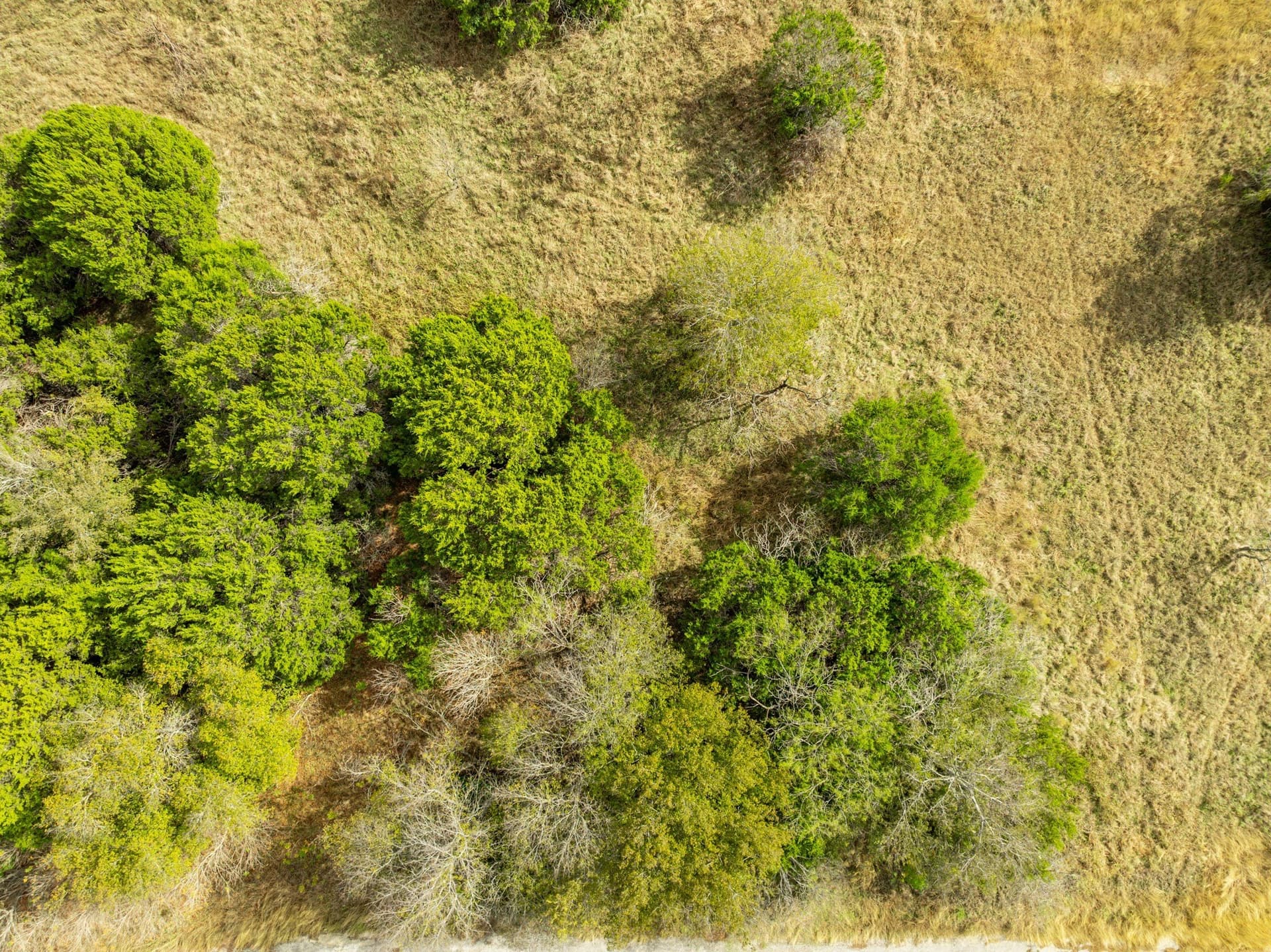 0.26 acres in Hill County - photo 5