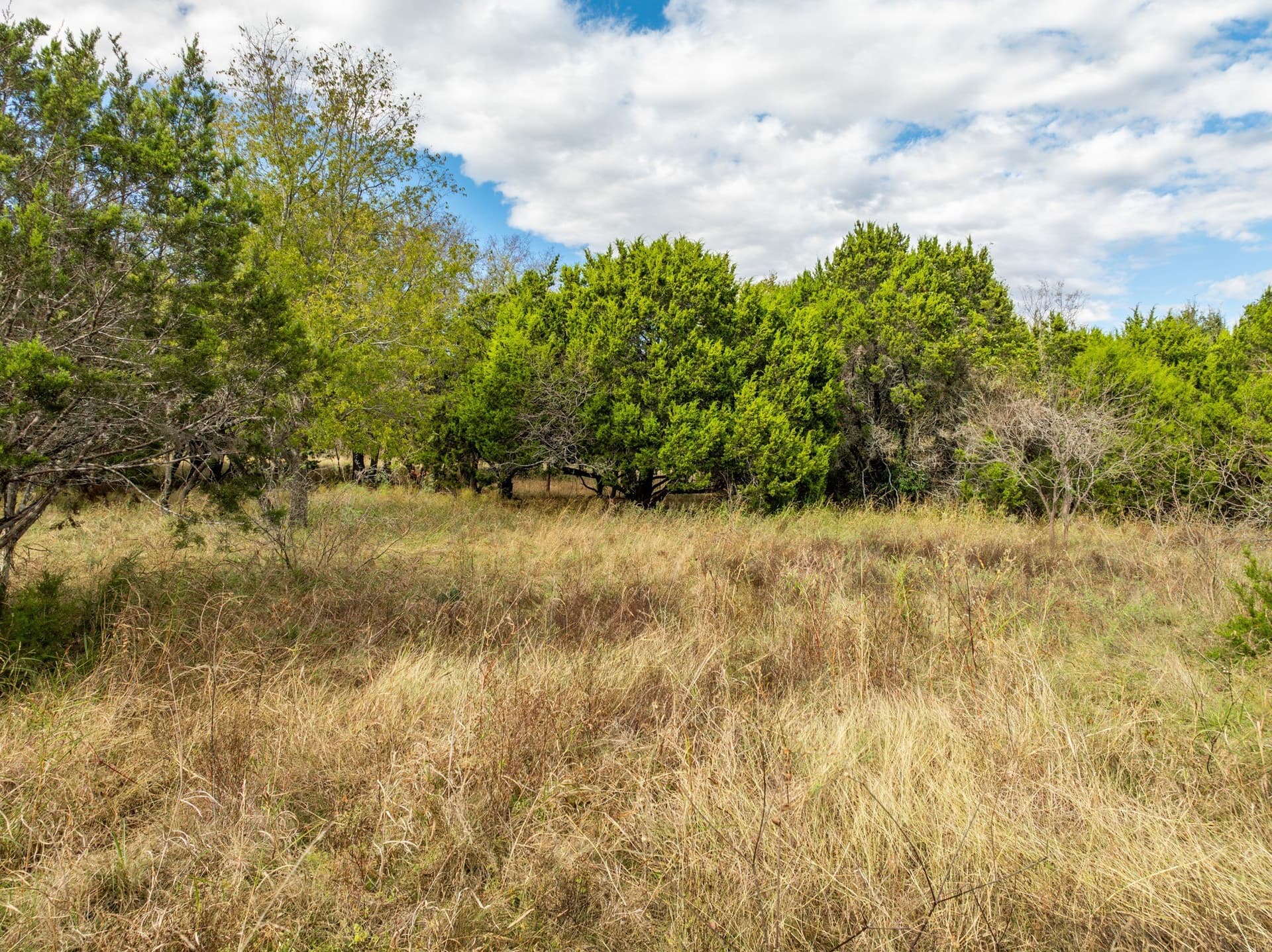 0.26 acres in Hill County - photo 8