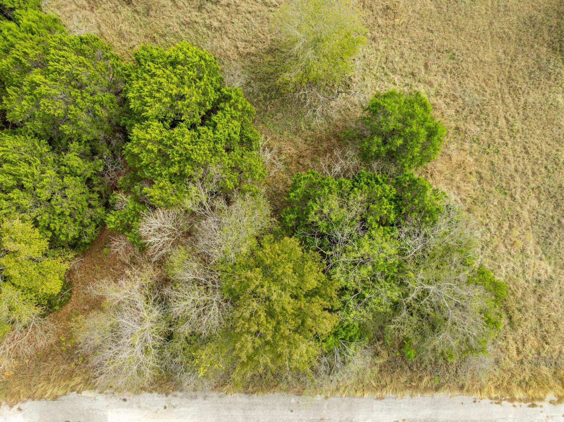 0.26 acres in Hill County - photo 4