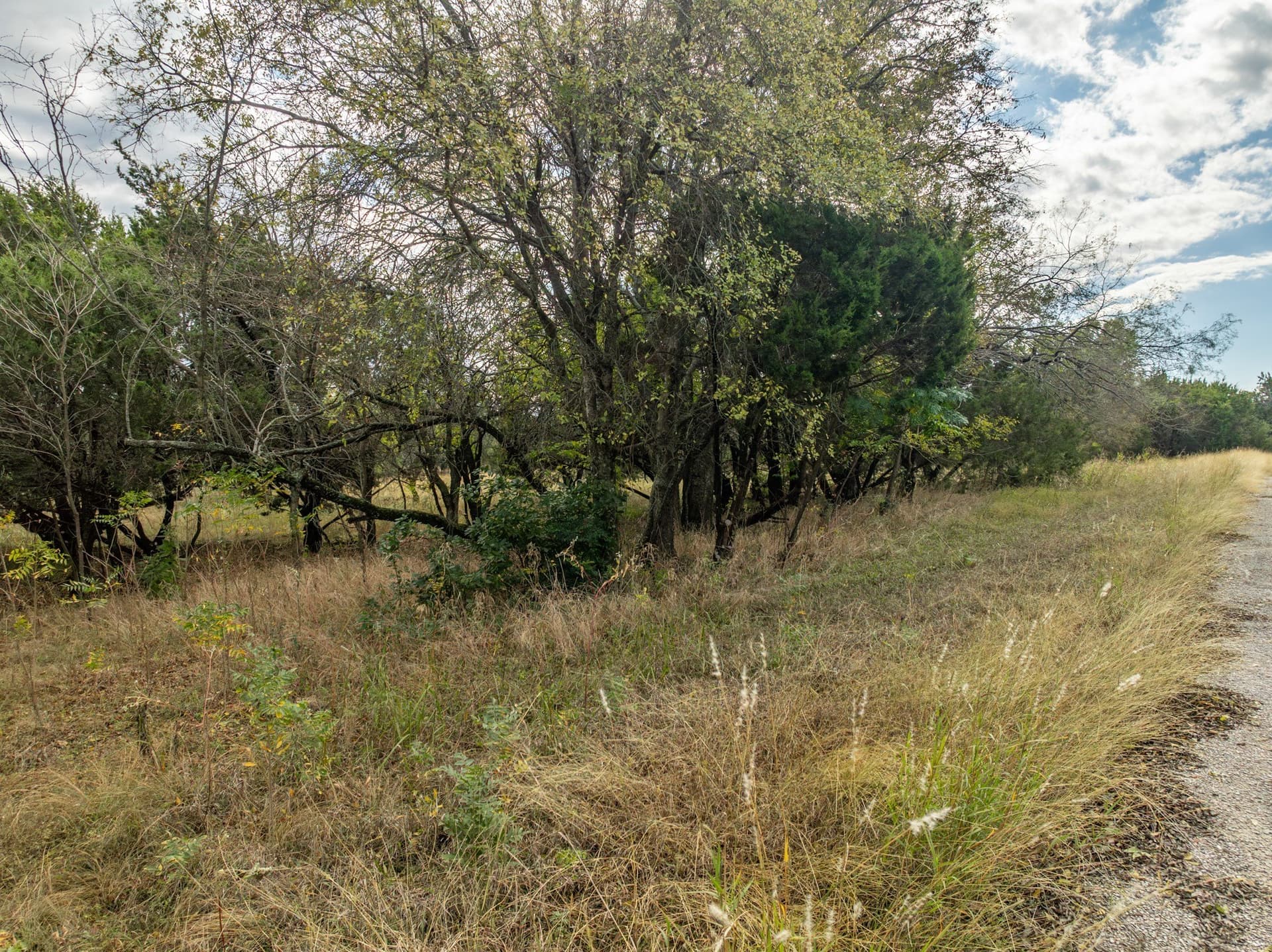 0.26 acres in Hill County - photo 2