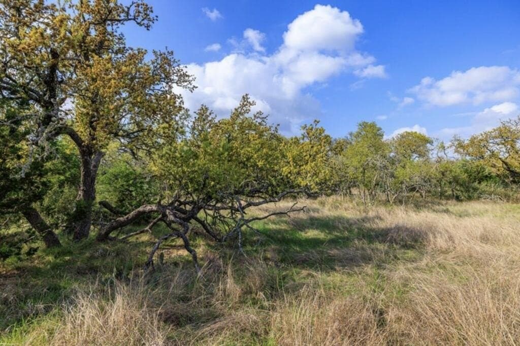 10.33 acres in Gillespie County - photo 2