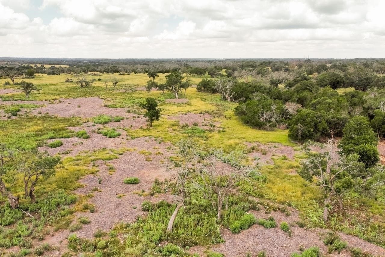 10 acres in Gillespie County gallery image 4