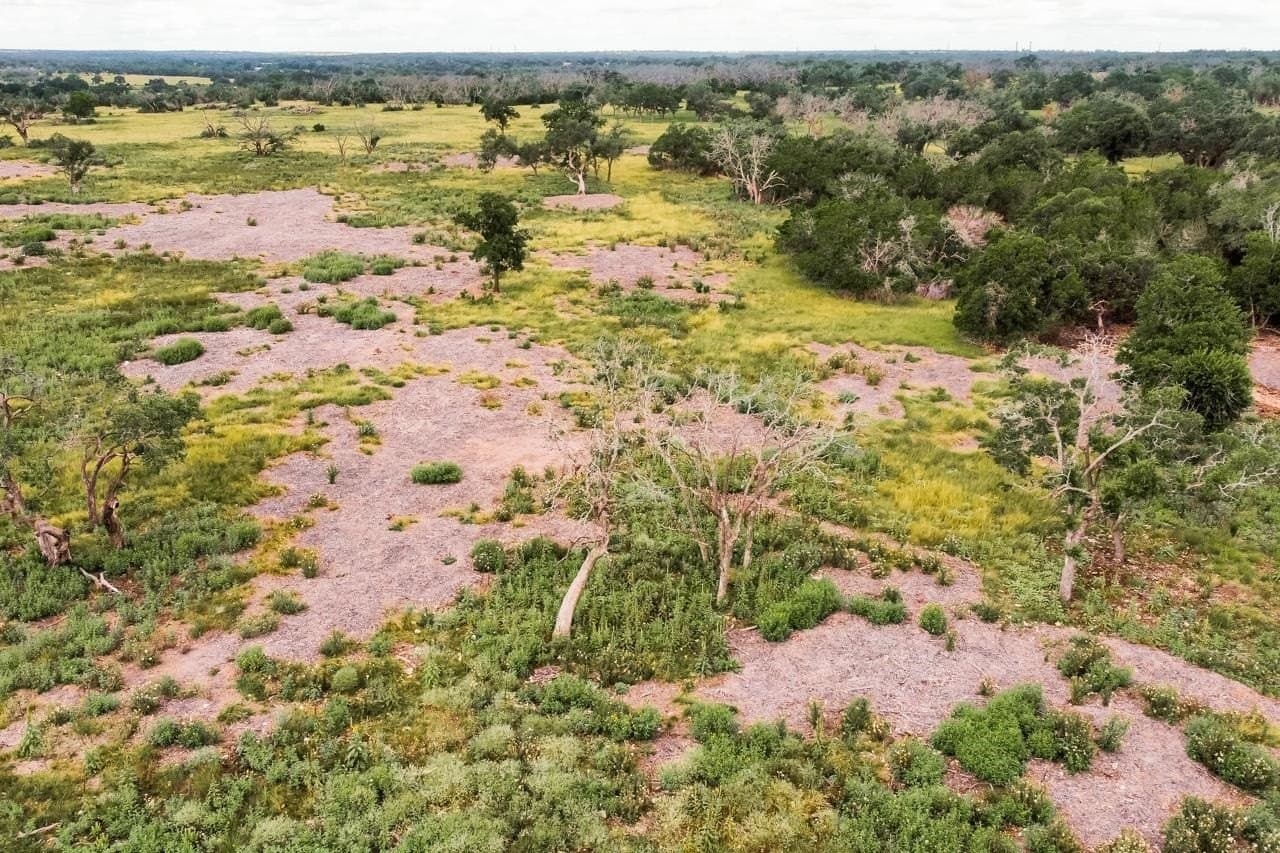 10 acres in Gillespie County featured view