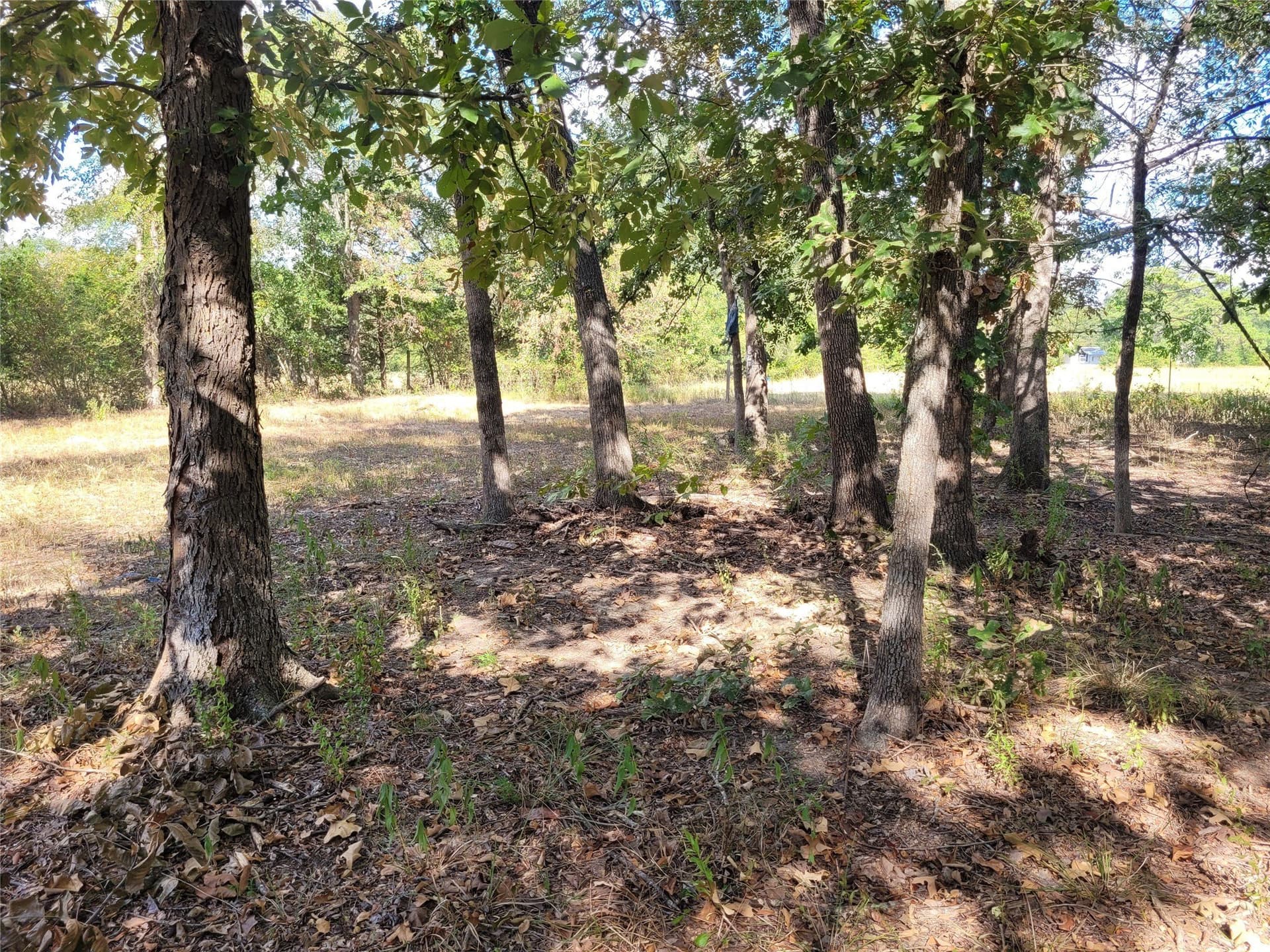 1.97 acres in Red River (TX) County - photo 19