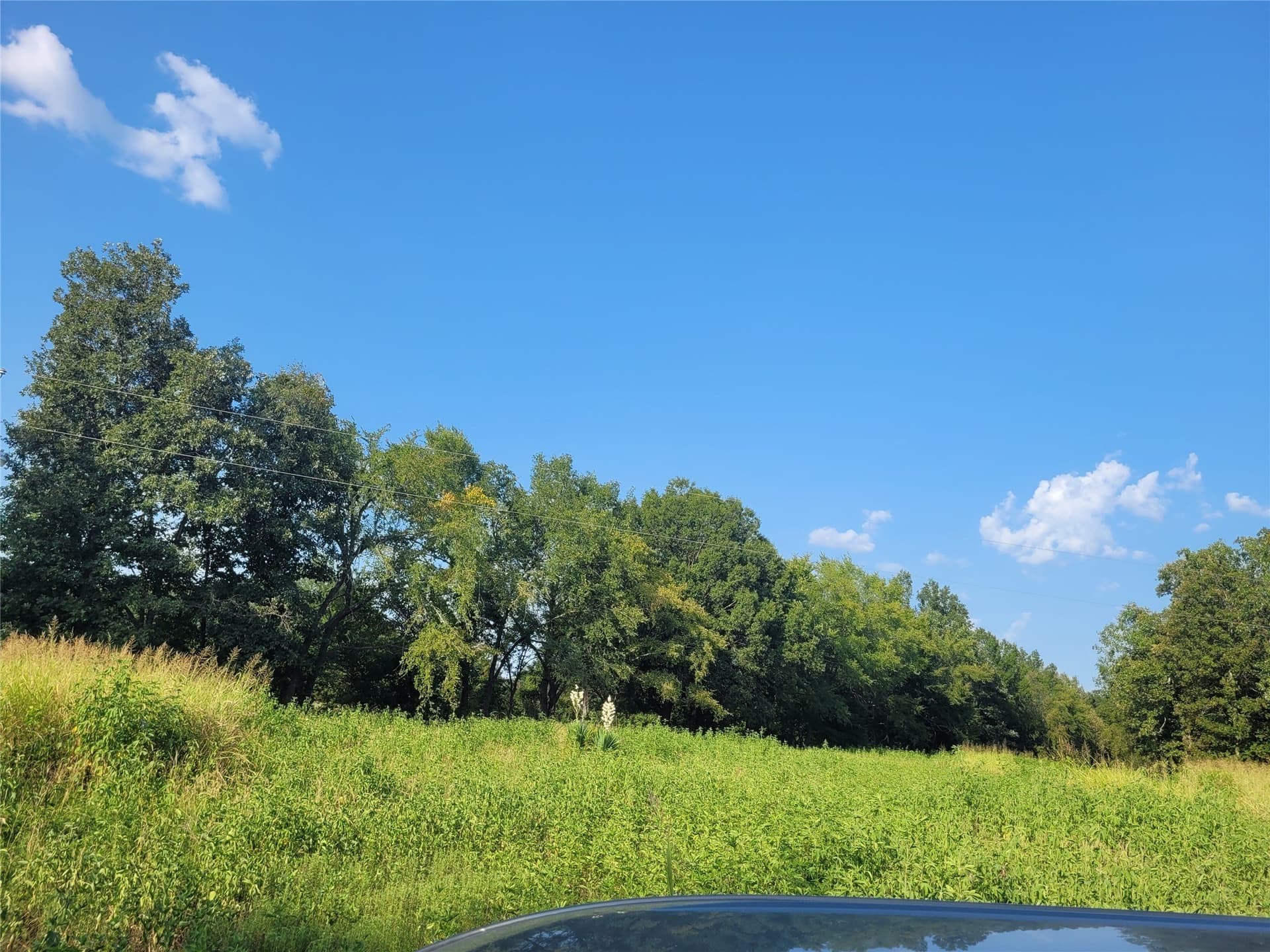 1.97 acres in Red River (TX) County - photo 10