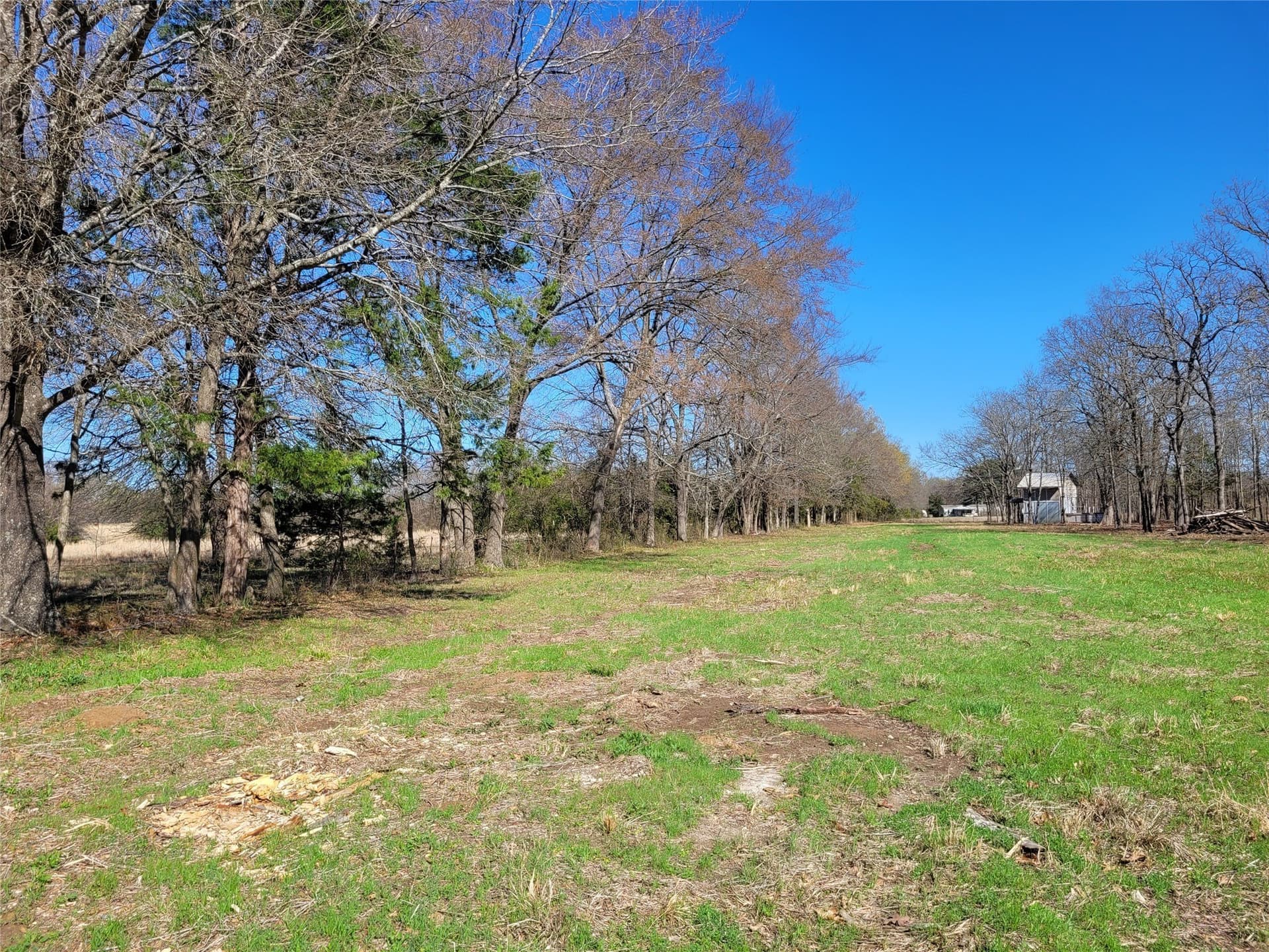 1.97 acres in Red River (TX) County - photo 13