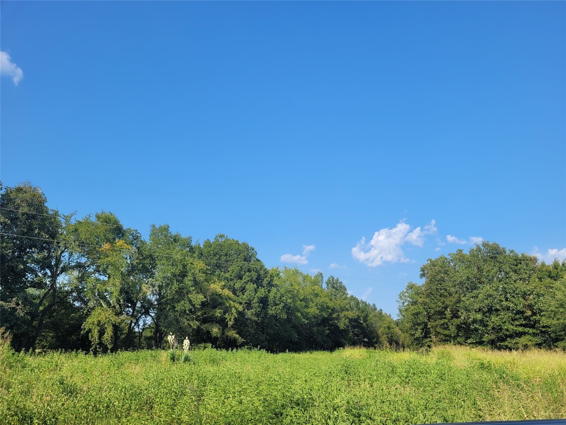 1.97 acres in Red River (TX) County - photo 5