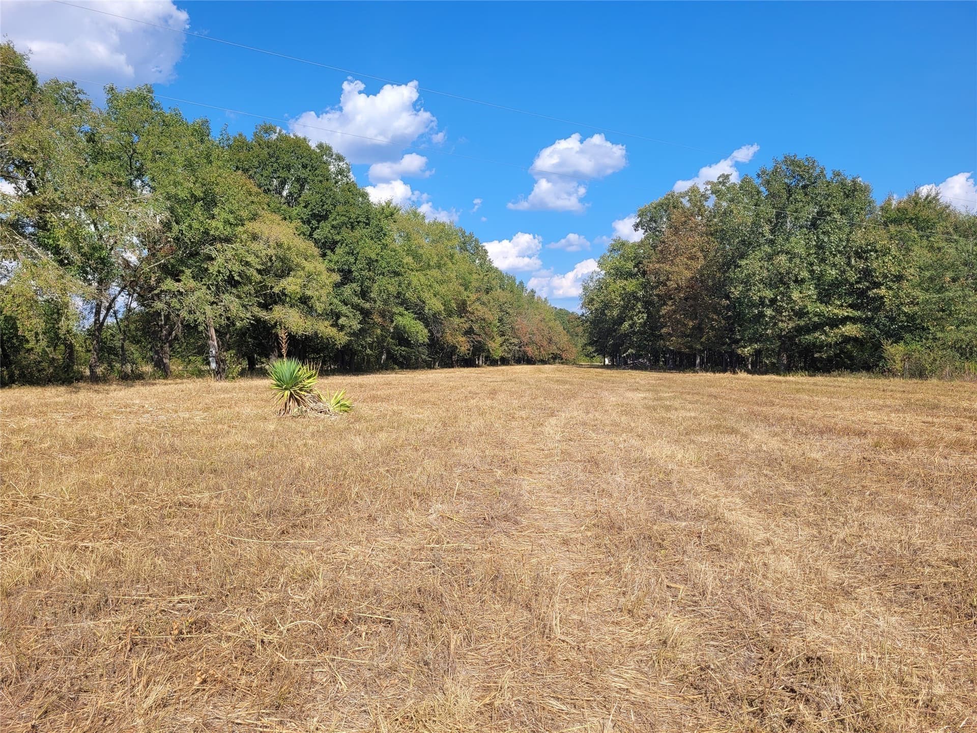 1.97 acres in Red River (TX) County - photo 39