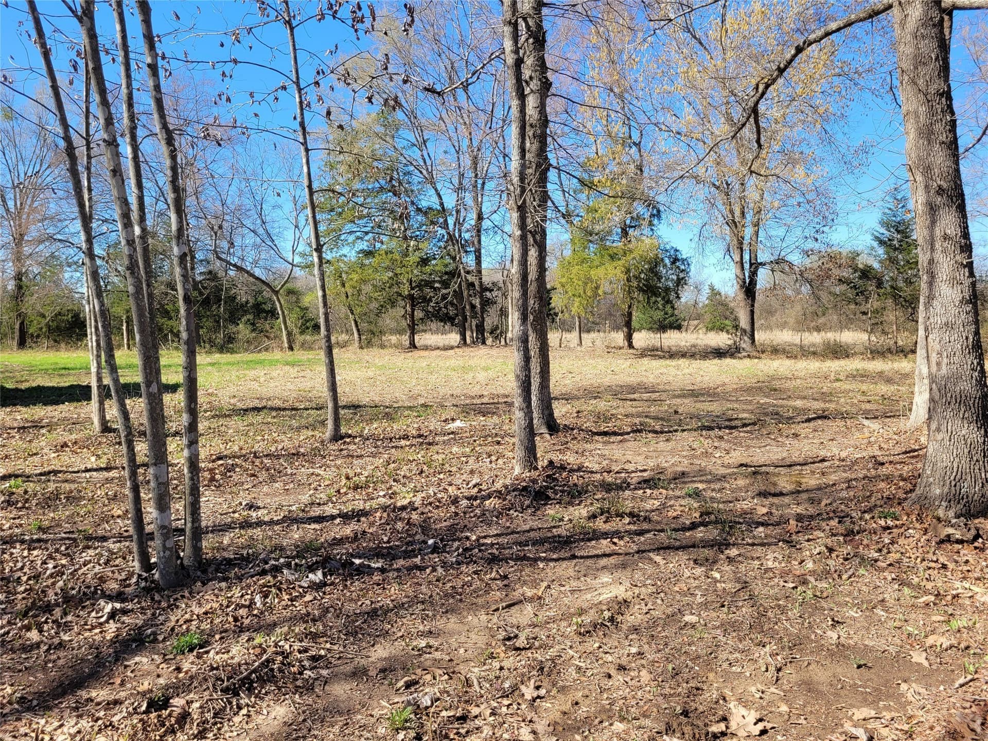 1.97 acres in Red River (TX) County - photo 27