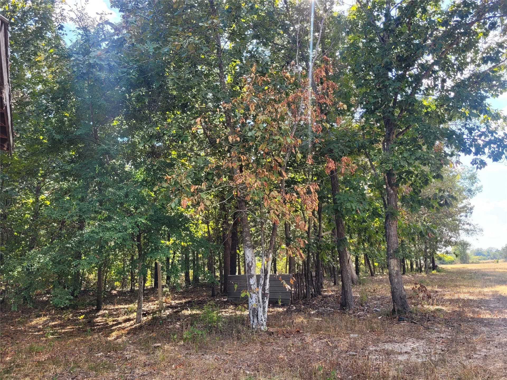 1.97 acres in Red River (TX) County - photo 40