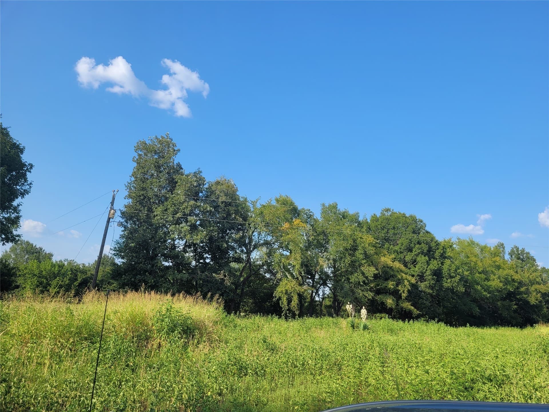 1.97 acres in Red River (TX) County - photo 3