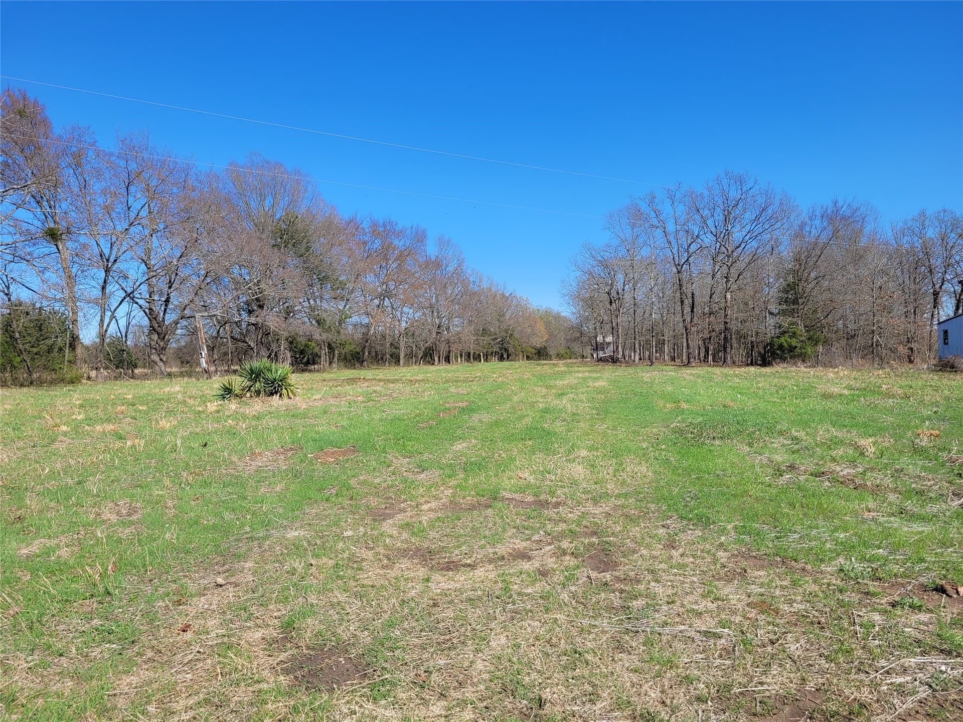1.97 acres in Red River (TX) County - photo 6