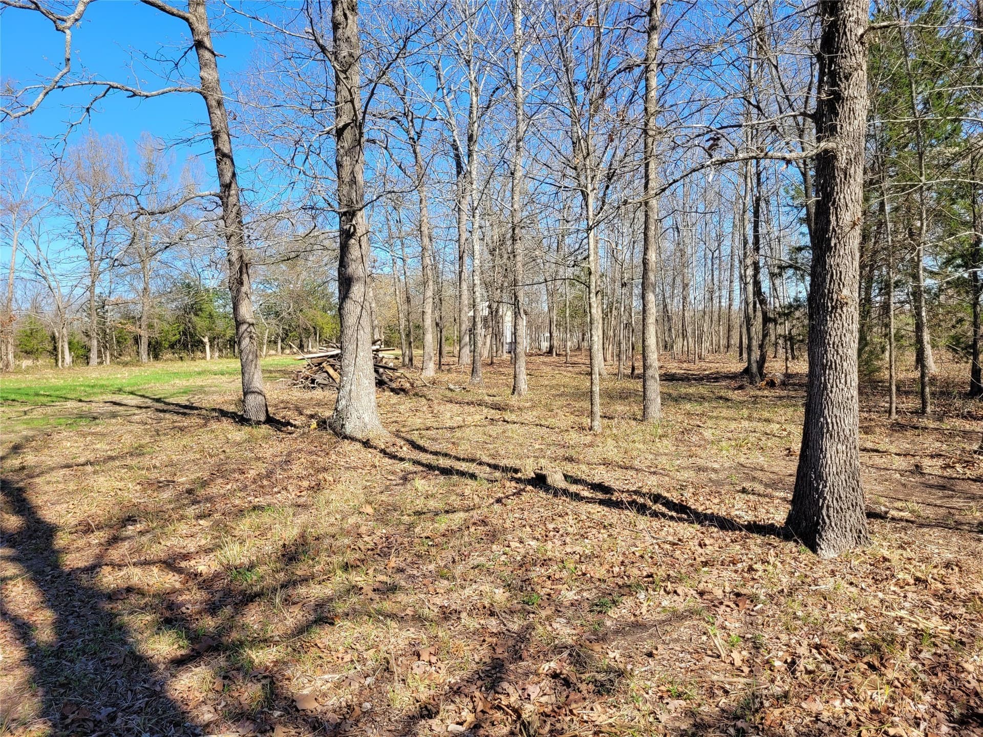 1.97 acres in Red River (TX) County - photo 14
