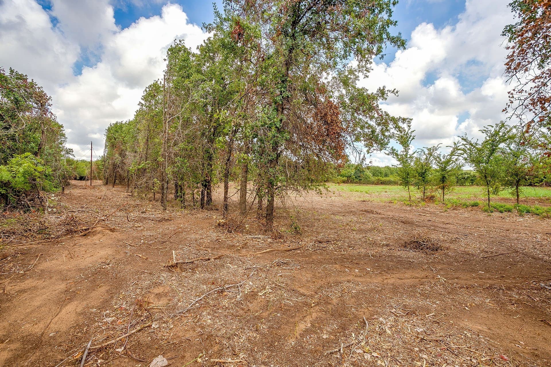 2.5 acres in Parker County - photo 3