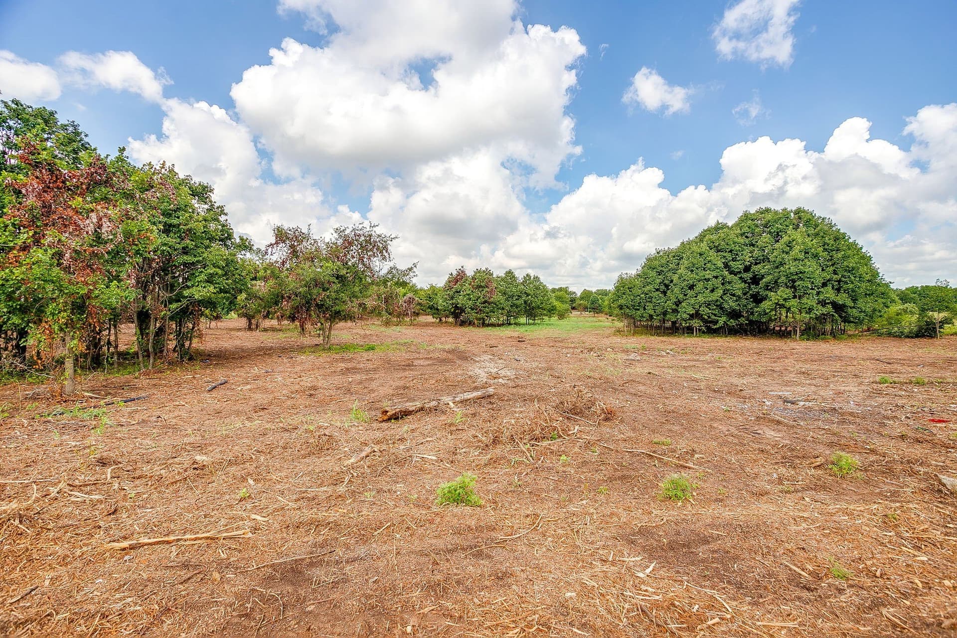 2.5 acres in Parker County - photo 12