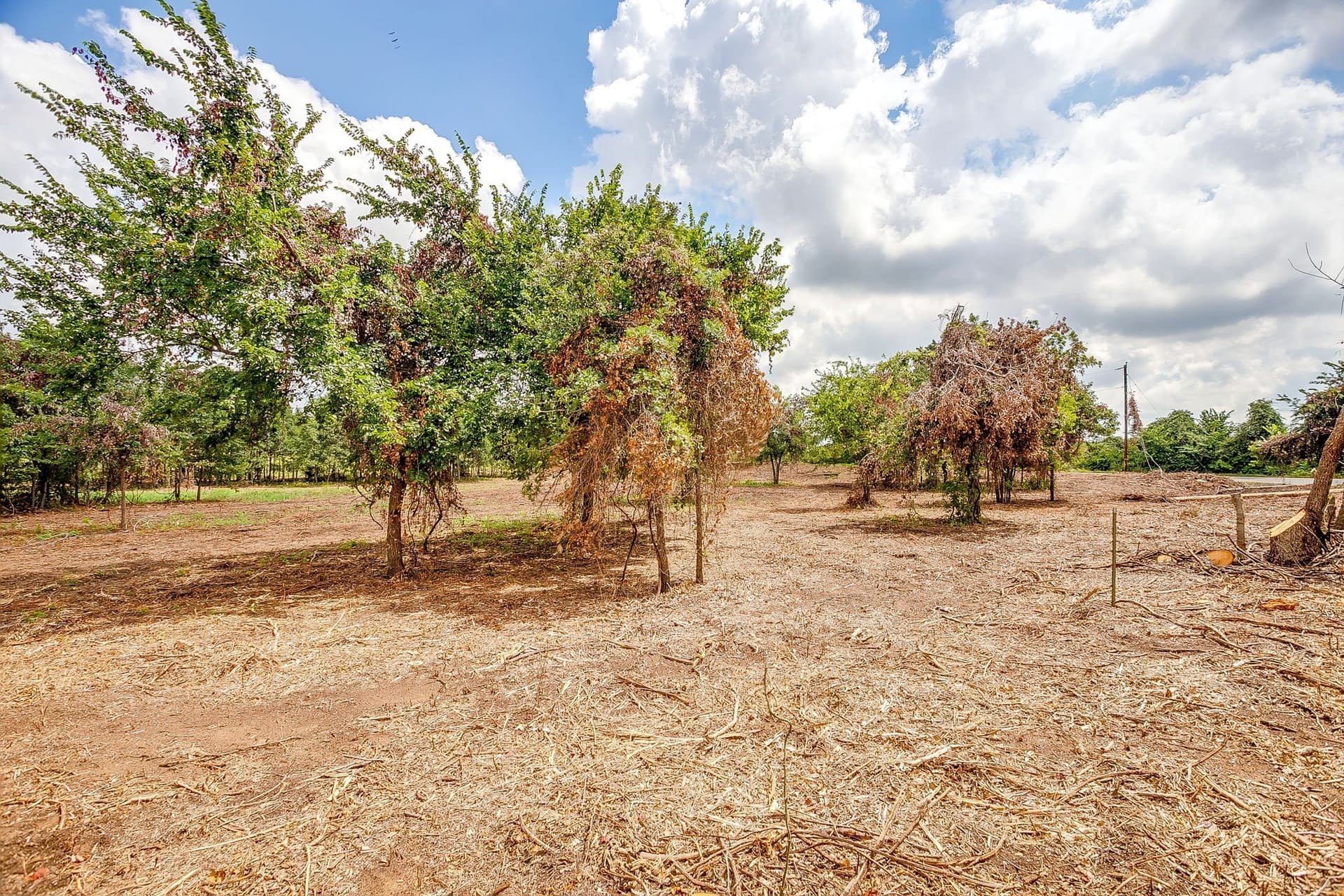 2.5 acres in Parker County - photo 8