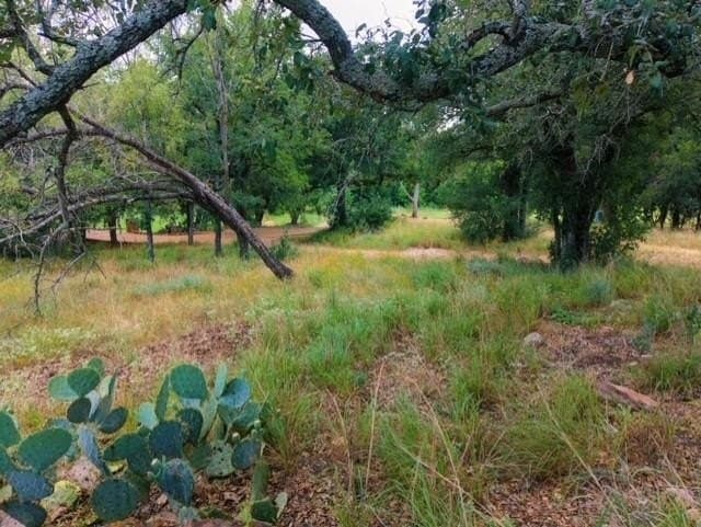 0.33 acres in Llano County gallery image 4