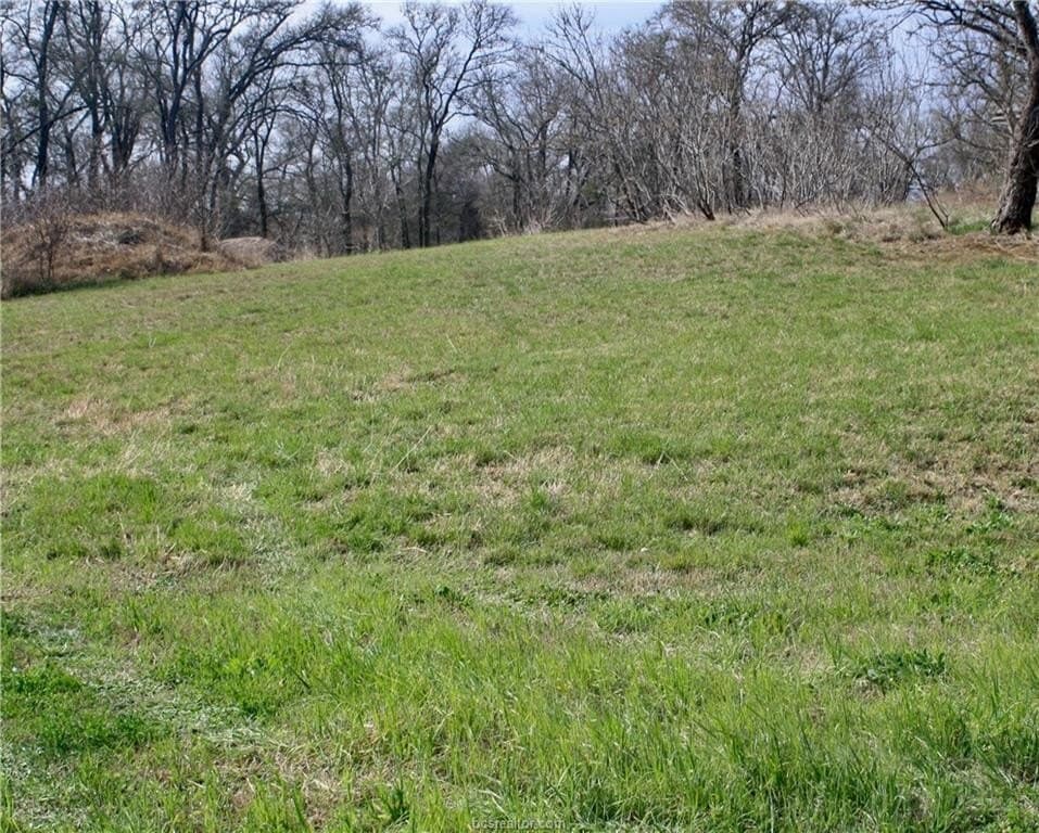 0.69 acres in Brazos County gallery image 4