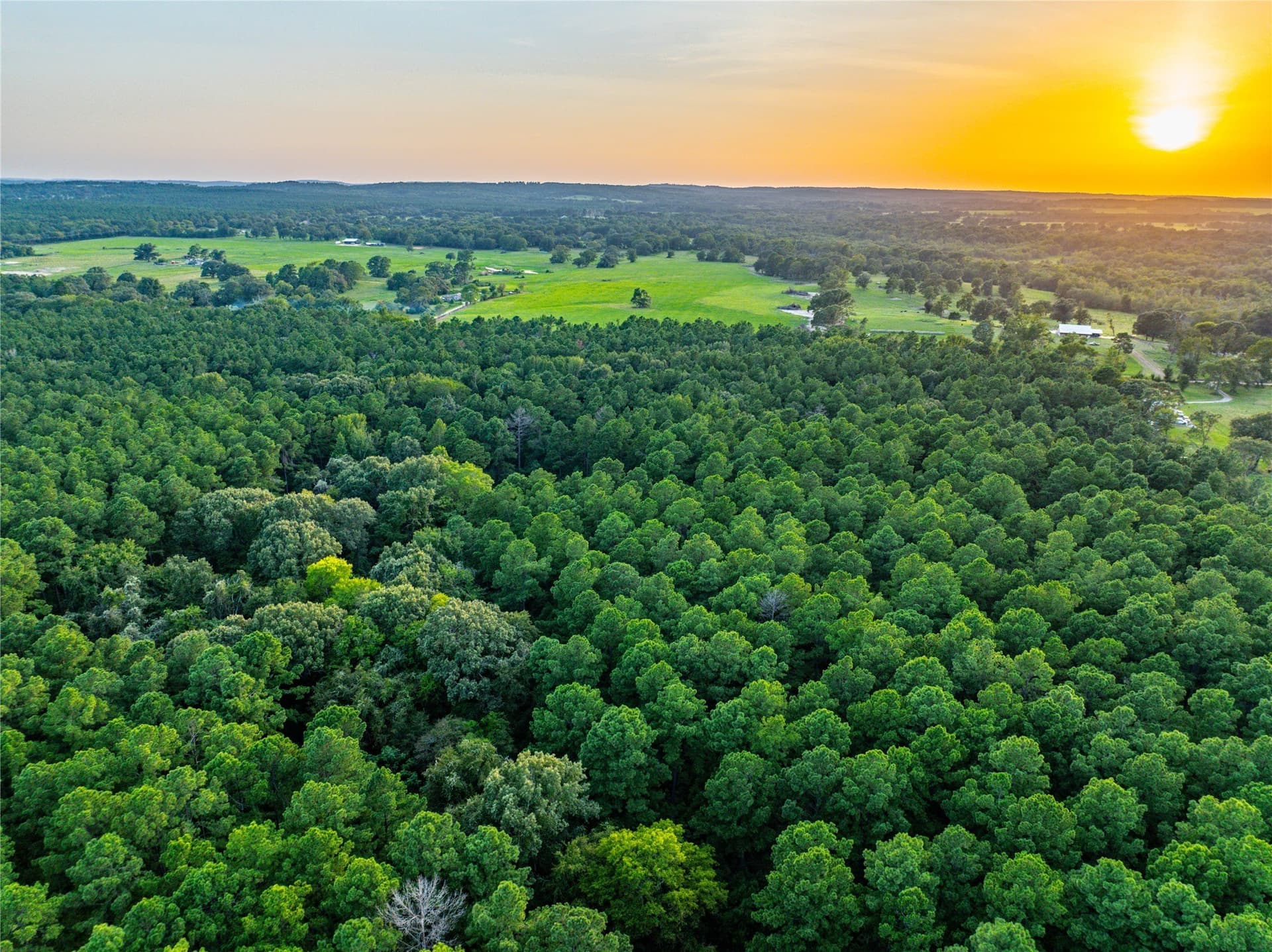 90.8 acres in Henderson County - photo 22