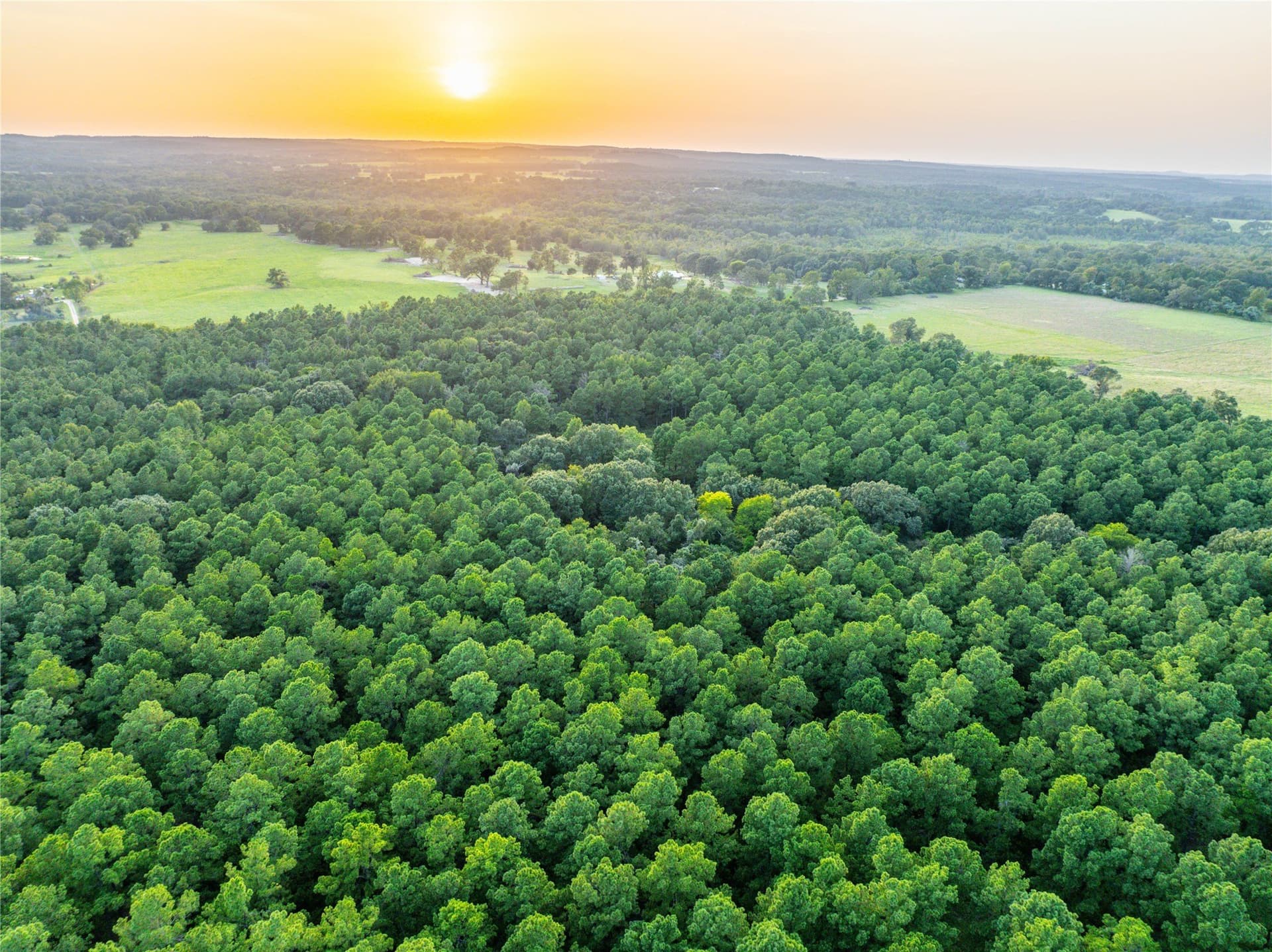 90.8 acres in Henderson County - photo 21