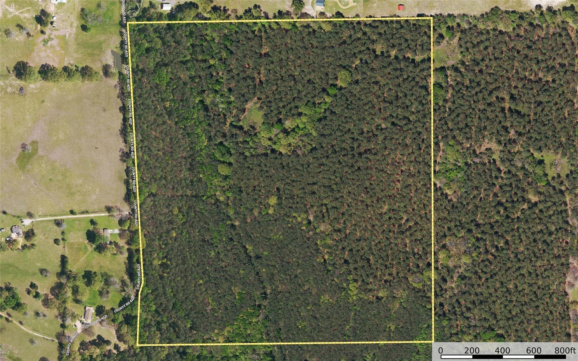 90.8 acres in Henderson County - photo 23