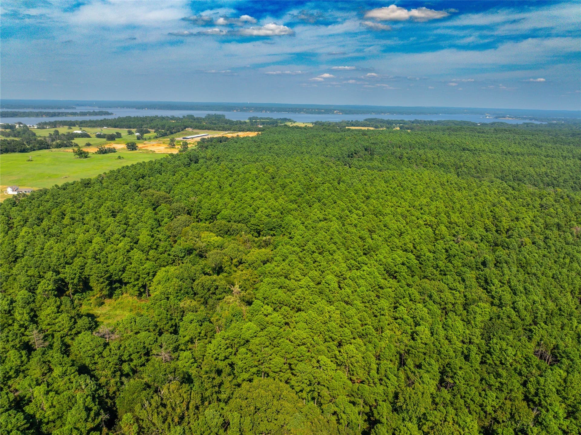 90.8 acres in Henderson County - photo 17