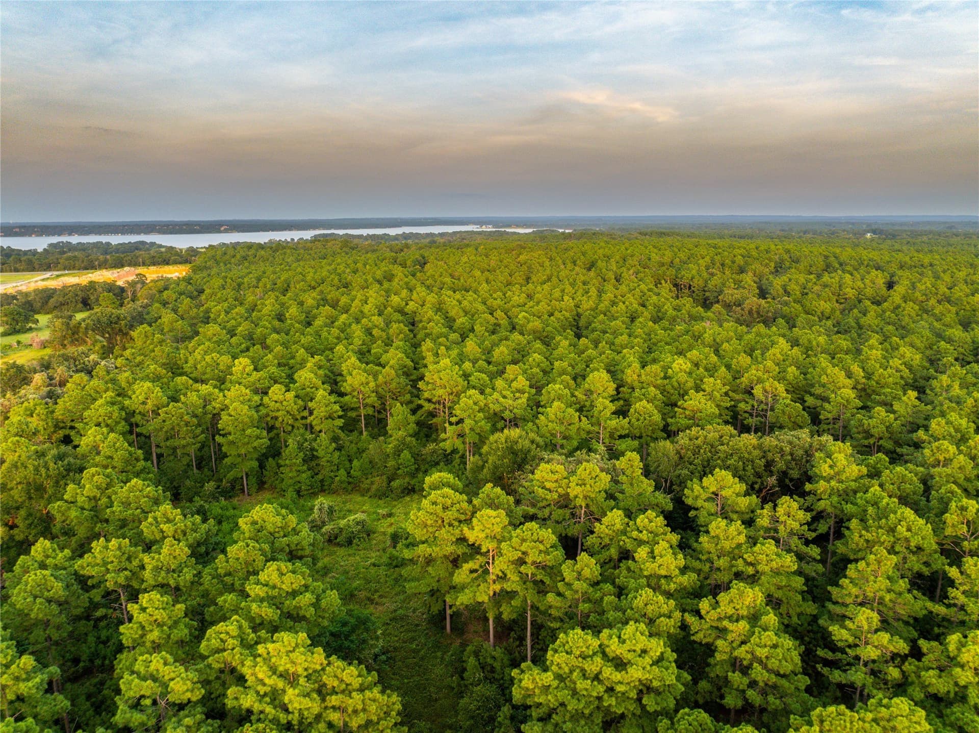 90.8 acres in Henderson County - photo 2