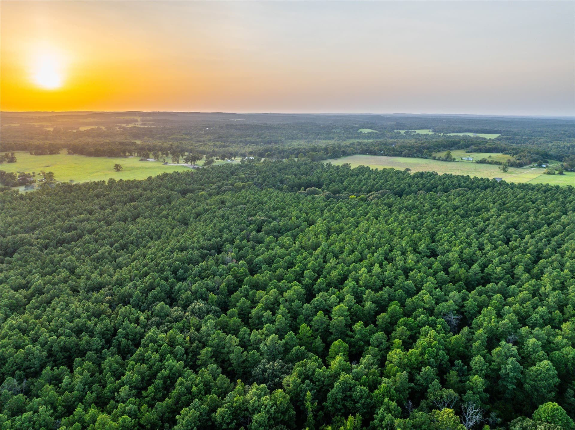90.8 acres in Henderson County - photo 19
