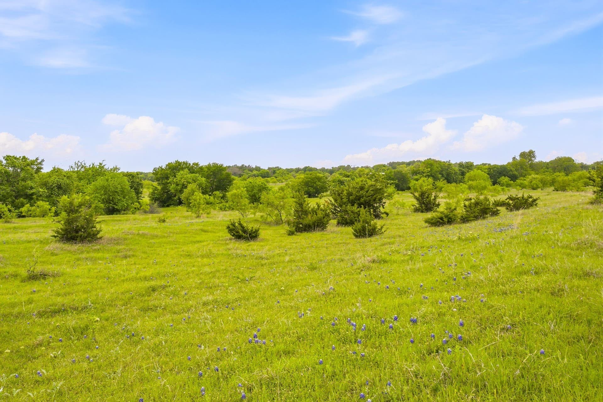 277.27 acres in Parker County - photo 20