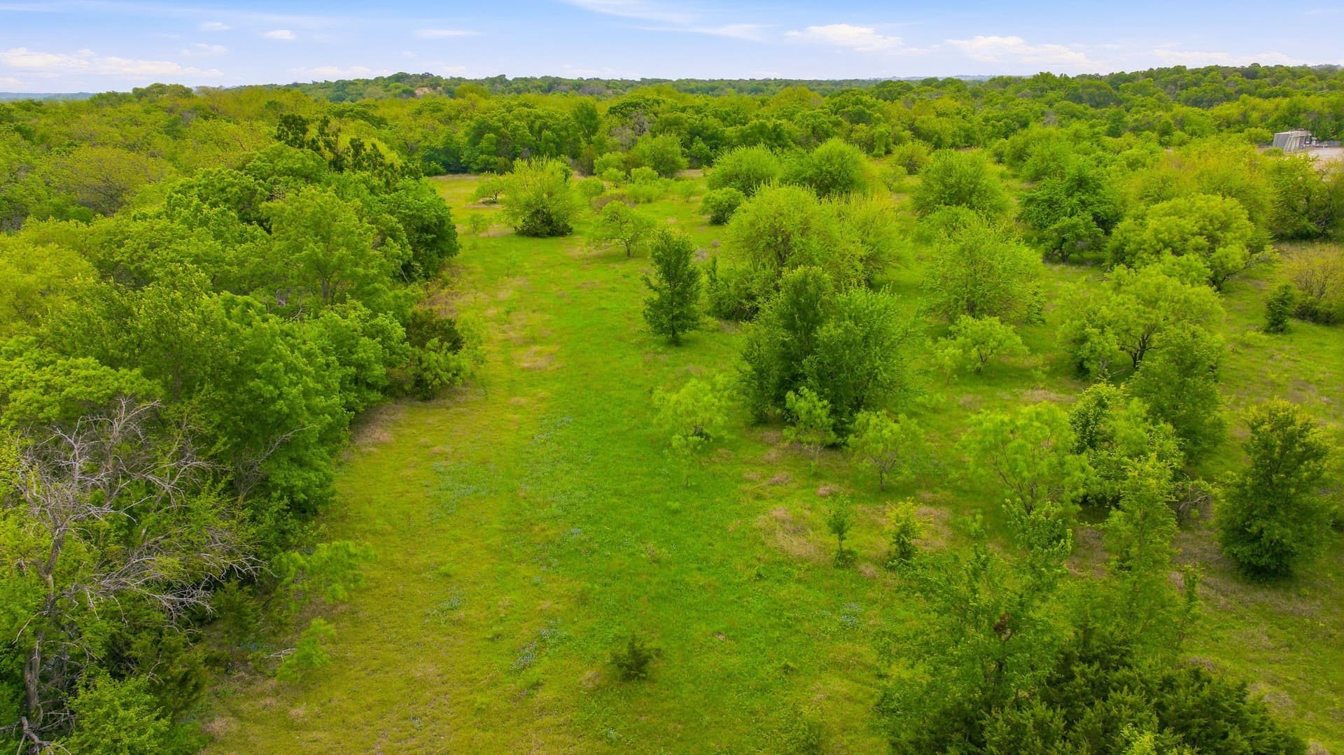 277.27 acres in Parker County - photo 35