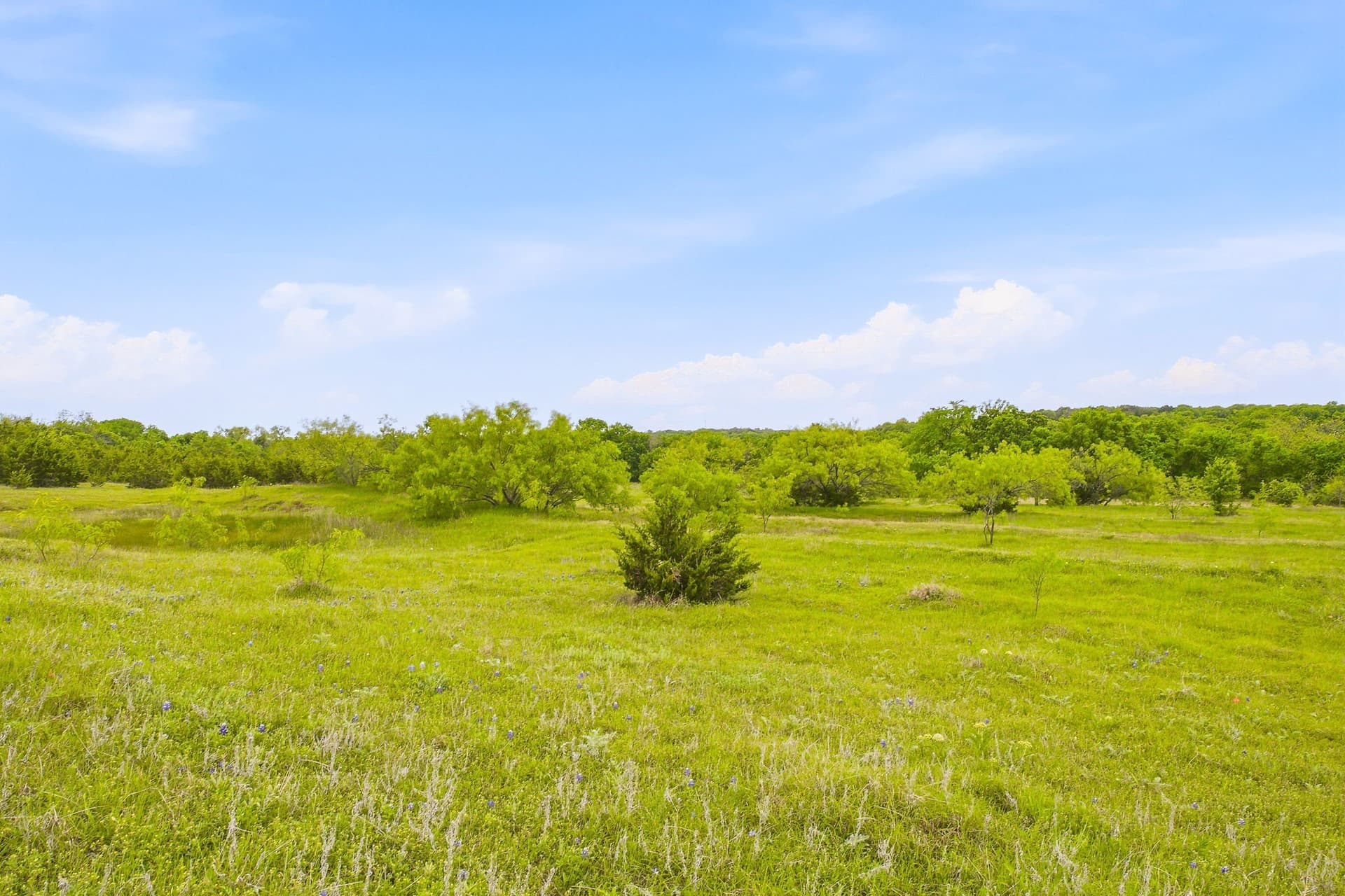 277.27 acres in Parker County - photo 19