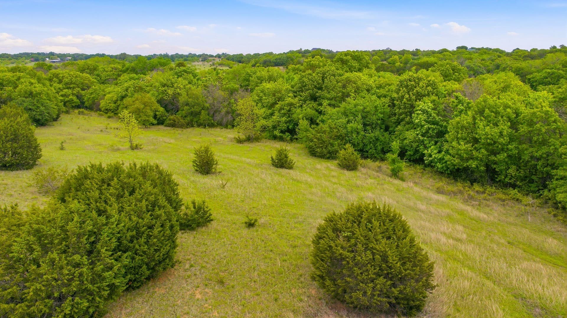 277.27 acres in Parker County - photo 32
