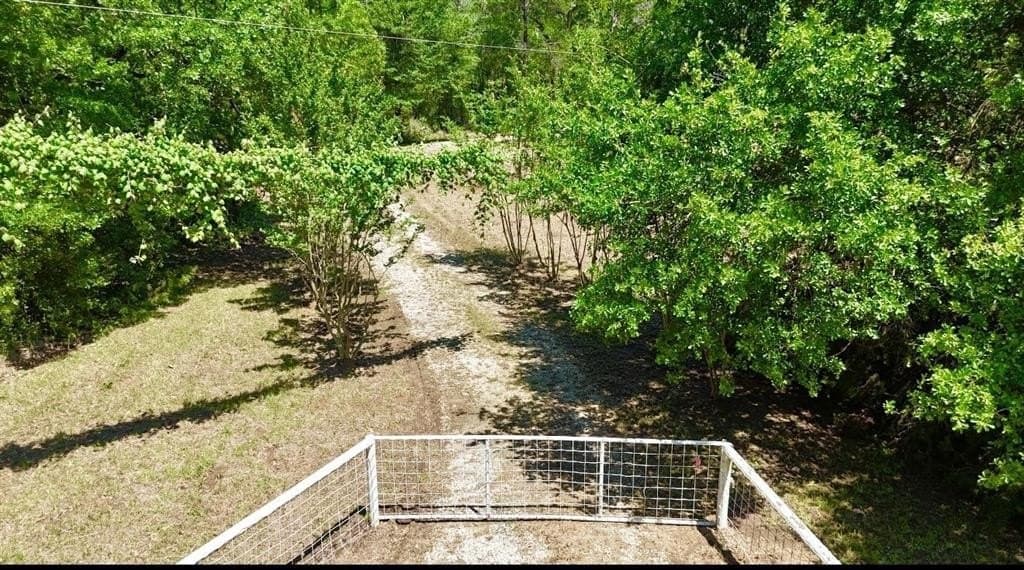 88.41 acres in Freestone County gallery image 2