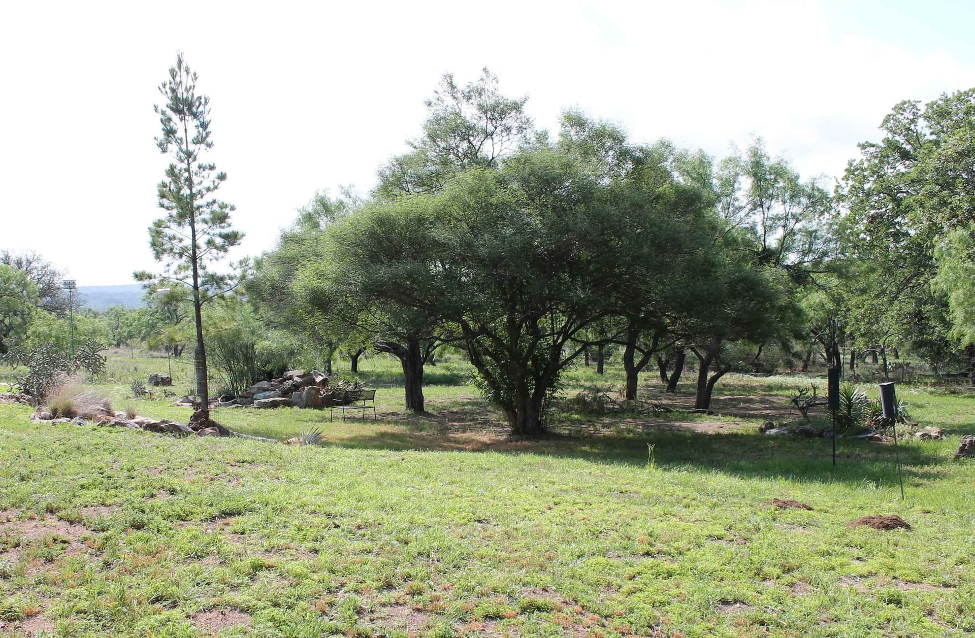 200 acres in Mason County - photo 28