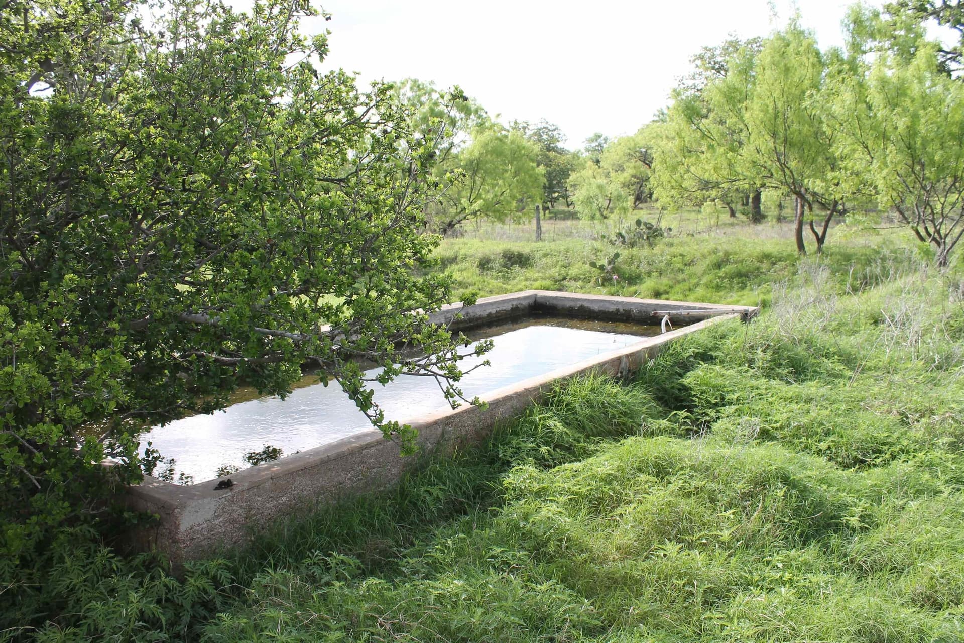 200 acres in Mason County featured view