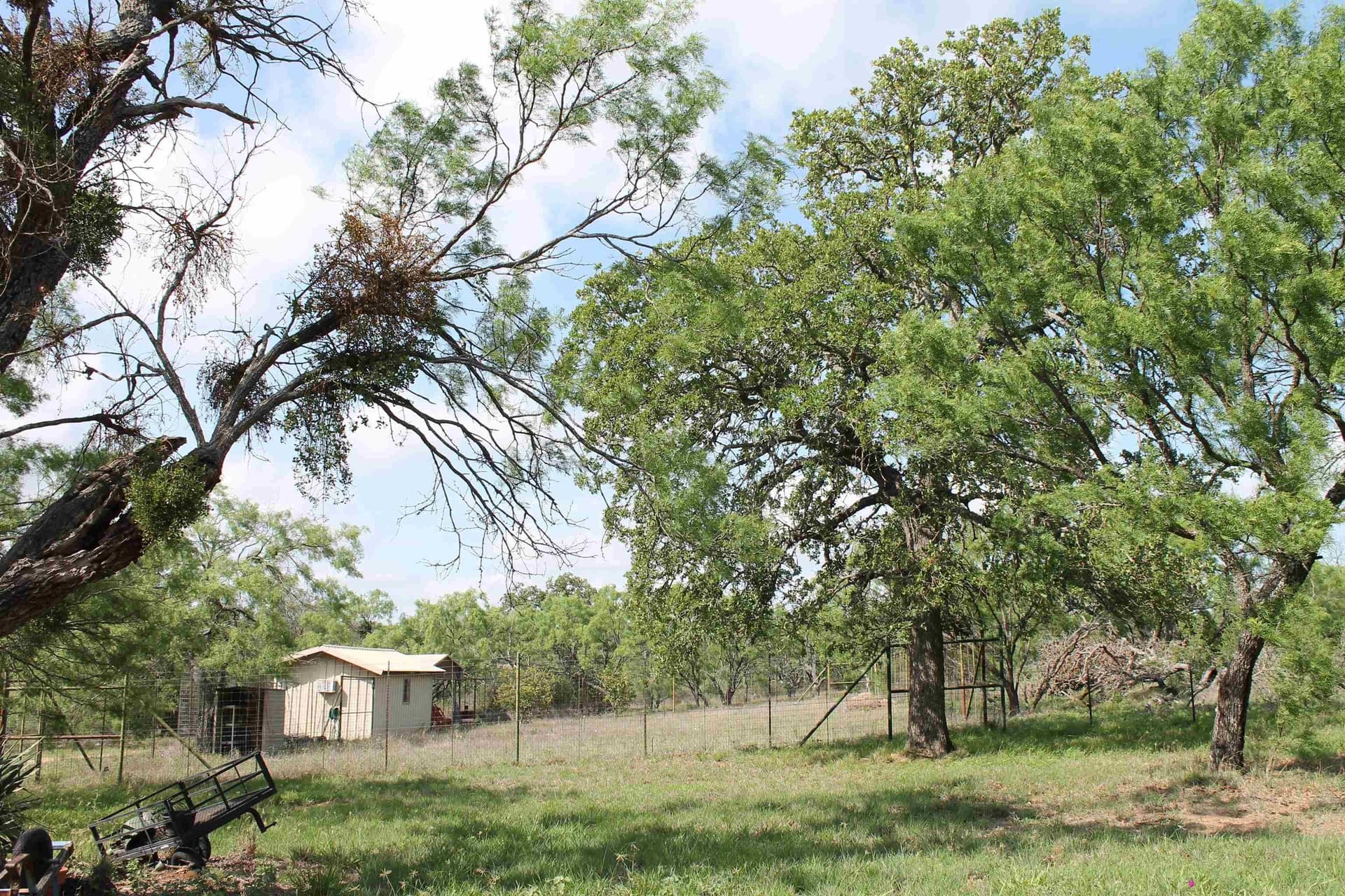 200 acres in Mason County - photo 30