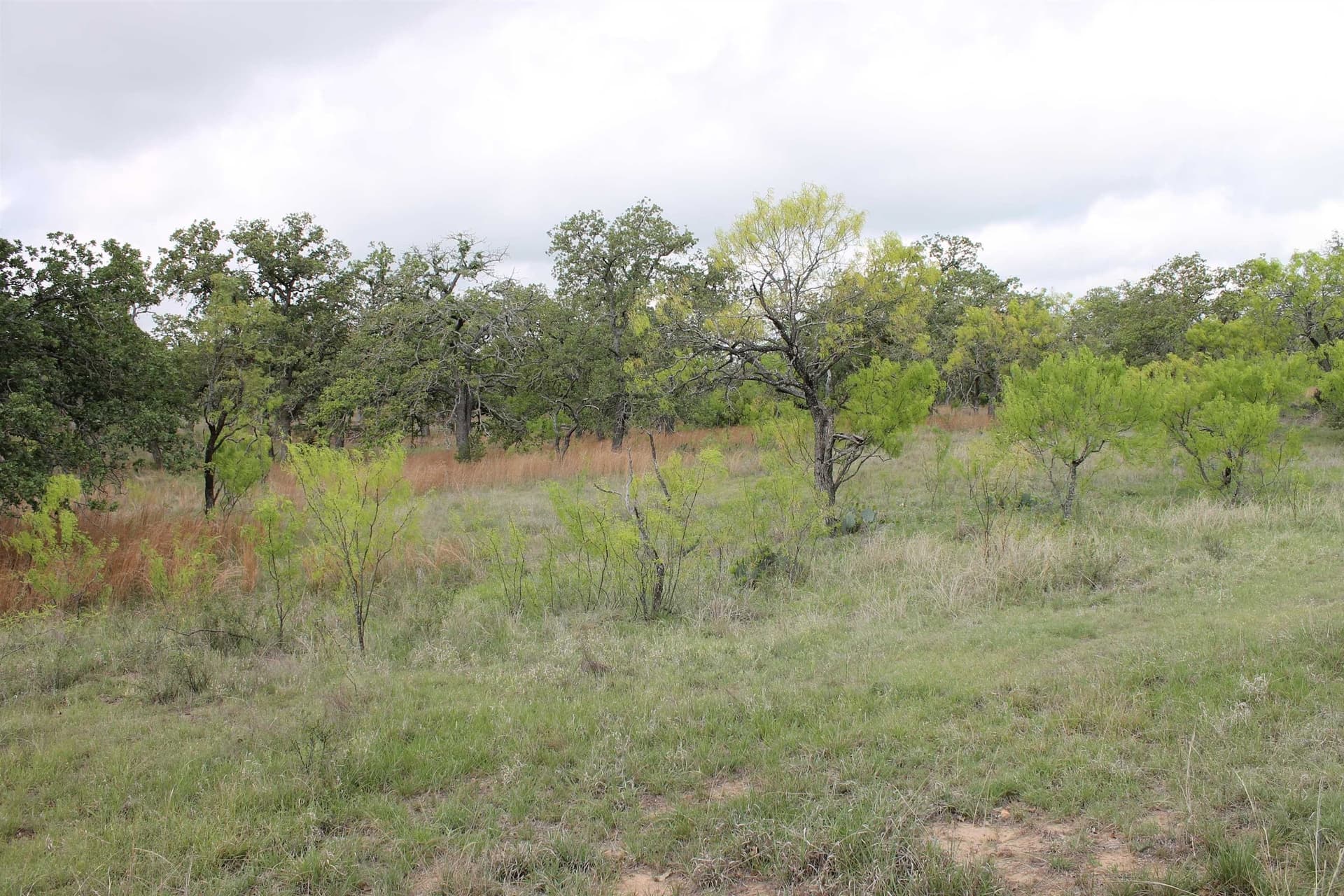 200 acres in Mason County - photo 6