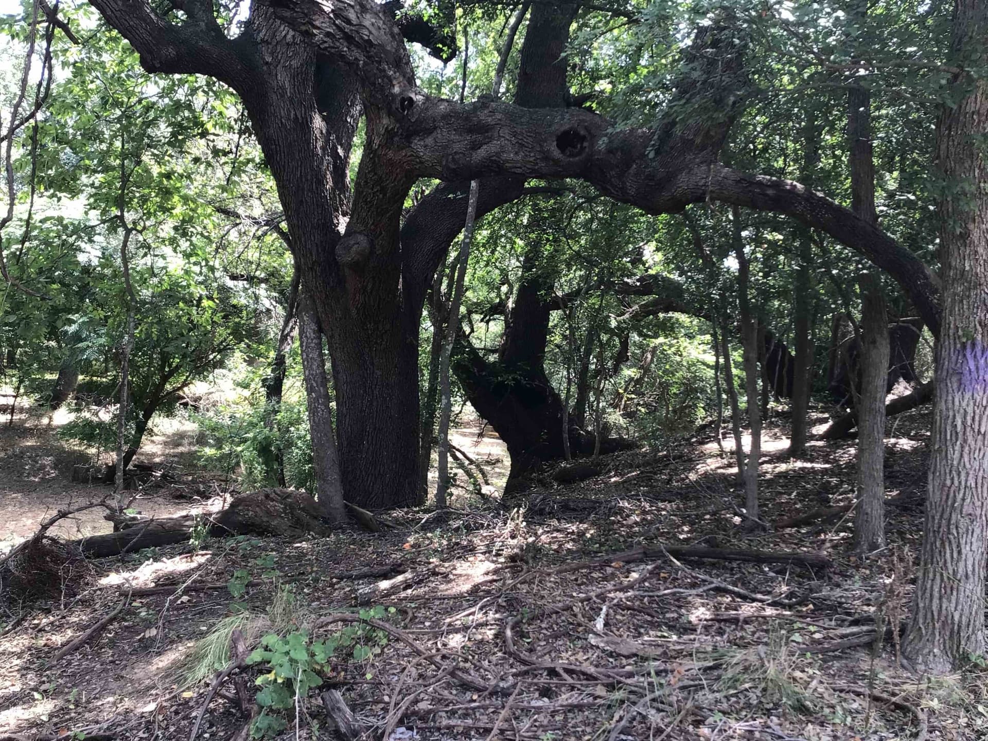 0.92 acres in Llano County - photo 16