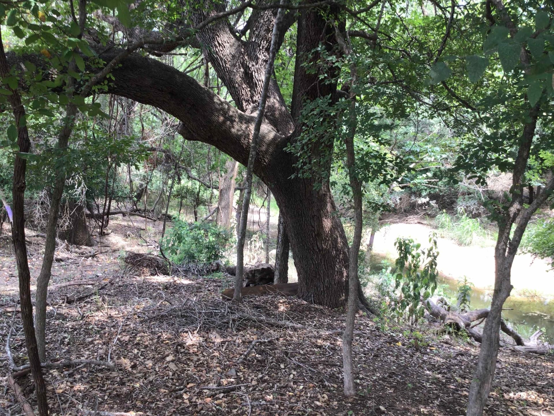 0.92 acres in Llano County - photo 11