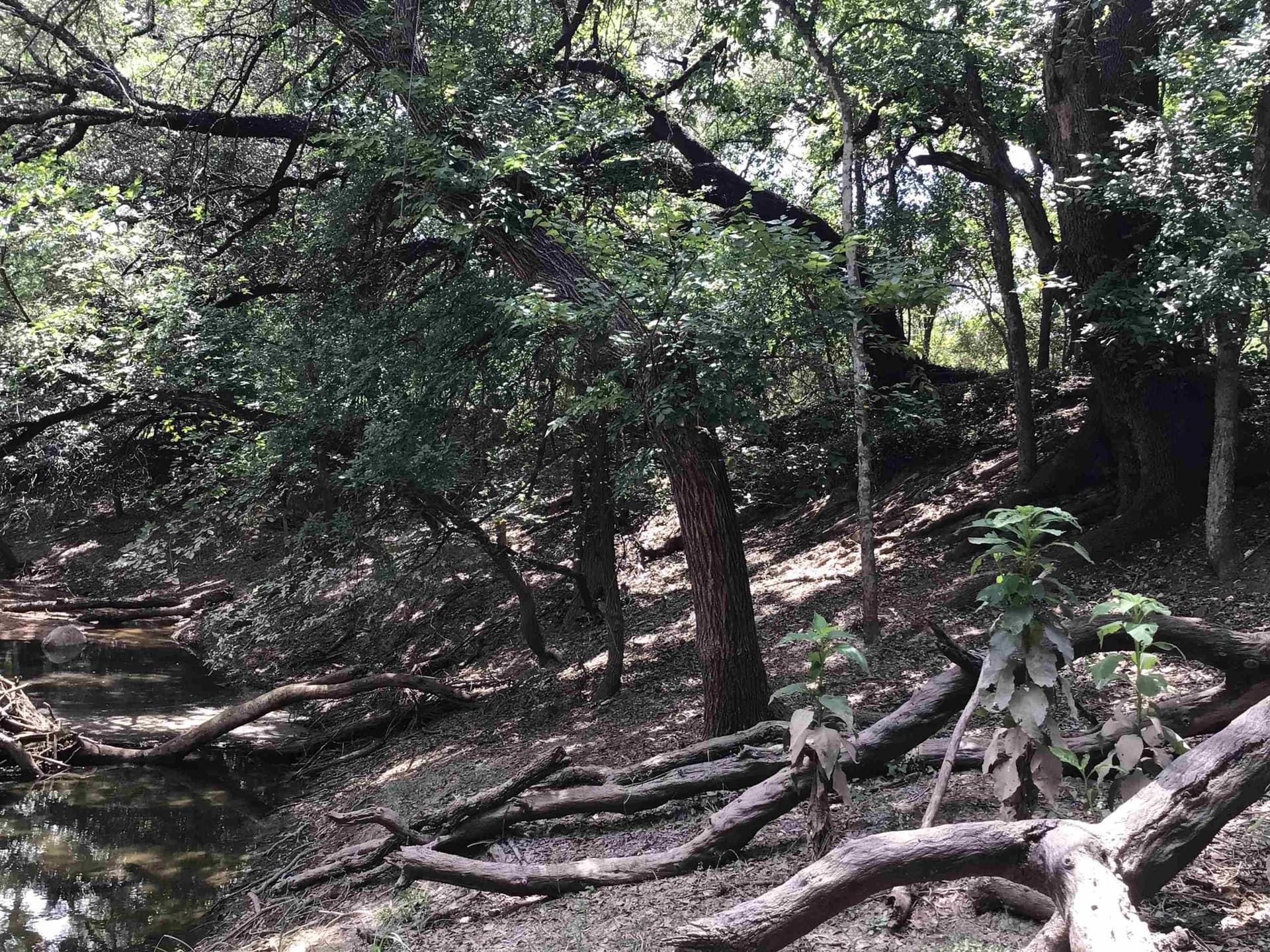 0.92 acres in Llano County - photo 14