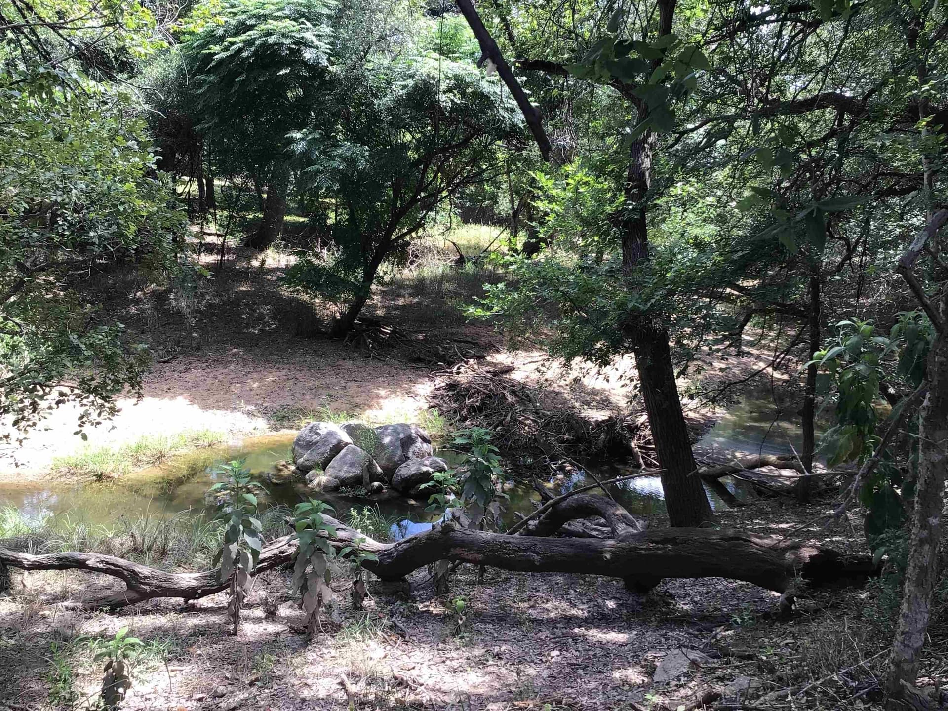 0.92 acres in Llano County - photo 15