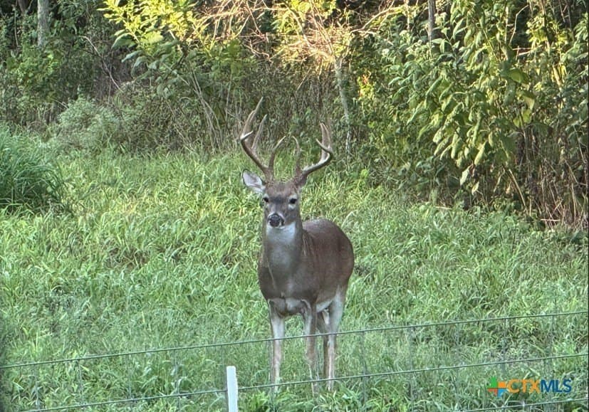 54.34 acres in Victoria County - photo 21