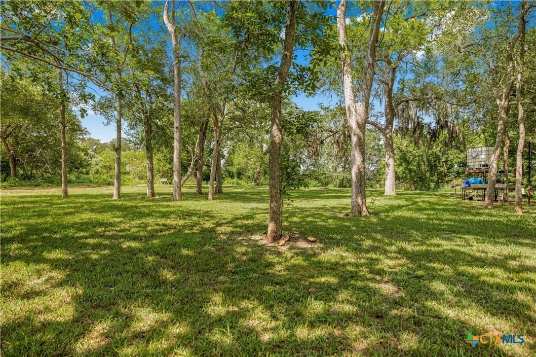 54.34 acres in Victoria County - photo 42