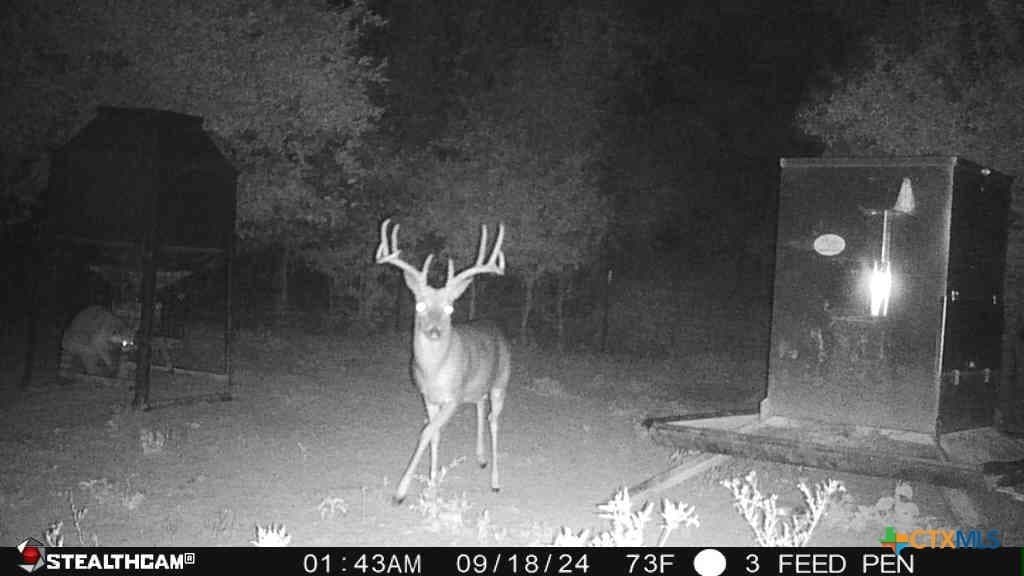54.34 acres in Victoria County - photo 22
