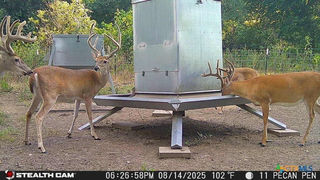 54.34 acres in Victoria County - photo 18