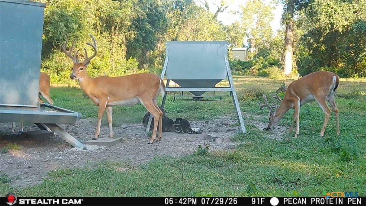 54.34 acres in Victoria County - photo 13