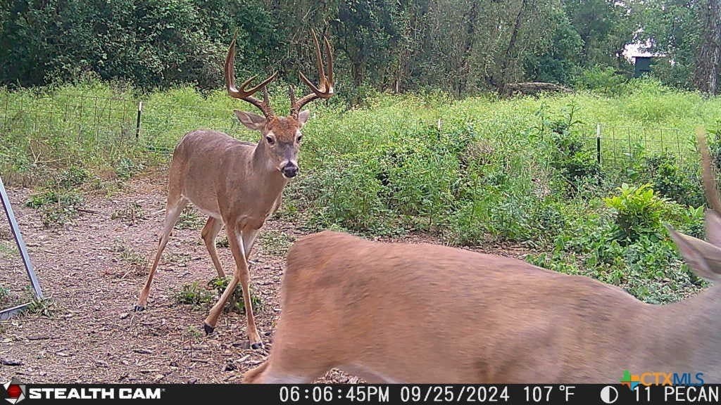 54.34 acres in Victoria County - photo 12