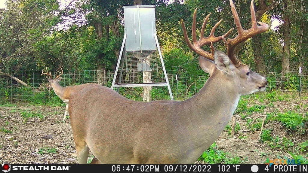 54.34 acres in Victoria County - photo 9